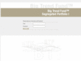 bigtrendfund.com
