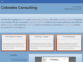 cobwebsconsulting.com