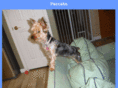 pacceka.com