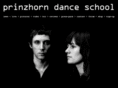 prinzhorn-dance-school.com