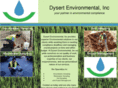 dysertenvironmental.com