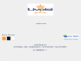 livolsigroup.com
