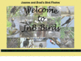 jnb-birds.com