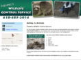 pestcontrolsouthernil.com