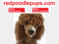 redpoodlepups.com