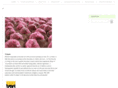 chichocolat.net