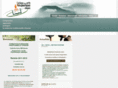 collegedesartstherapeutiqueschinois.com