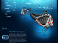 dallaswebsitedesigns.com
