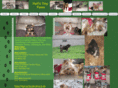 hallstinypaws.com