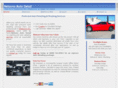 nelsonsautodetail.com
