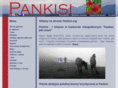 pankisi.org