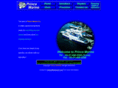 prince21.com