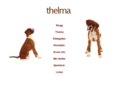 thelma.be