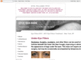 eyefillersnyc.org