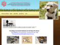 leaderofthepackdogwalking.com