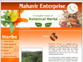 mahavirenterprise.com
