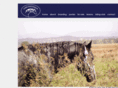 thelonetreeranch.com