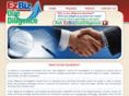 bizduediligence.com