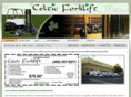 celticforklift.com