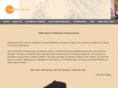 chicago-acupuncture-eastland-headache-migraine.com