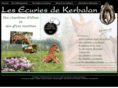 lesecuriesdekerbalan.com