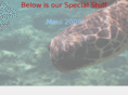ourspecialstuff.net