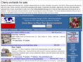 cherryorchards.net
