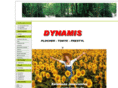 dynamis21.com