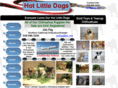 hot-little-dogs.com