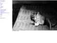 hrappleye.com