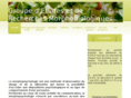 morphopsy.com