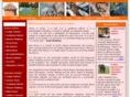 mulesosafaris.com