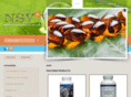 nsvaz.com