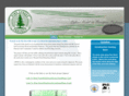 pinestreetstormdrain.com