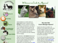 circle6alpacas.com