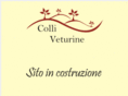 colliveturine.com