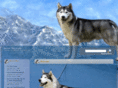 siberianhusky41.com