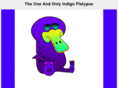 indigoplatypus.com