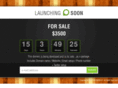 executivelock.com