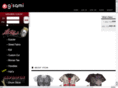 gisami.net
