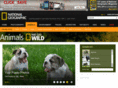 natgeotv-wild.com
