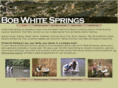 bobwhitesprings.com