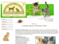 cushingsquarevet.com