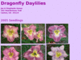 dragonflydaylilies.com