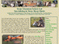 stonemountainsafaris.com