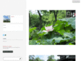thanwe.com