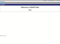 canopyv300.com