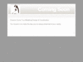 dreamscometrueweddings.com
