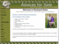 alpacasforsale.com.au