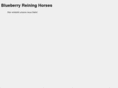 blueberry-reininghorses.com